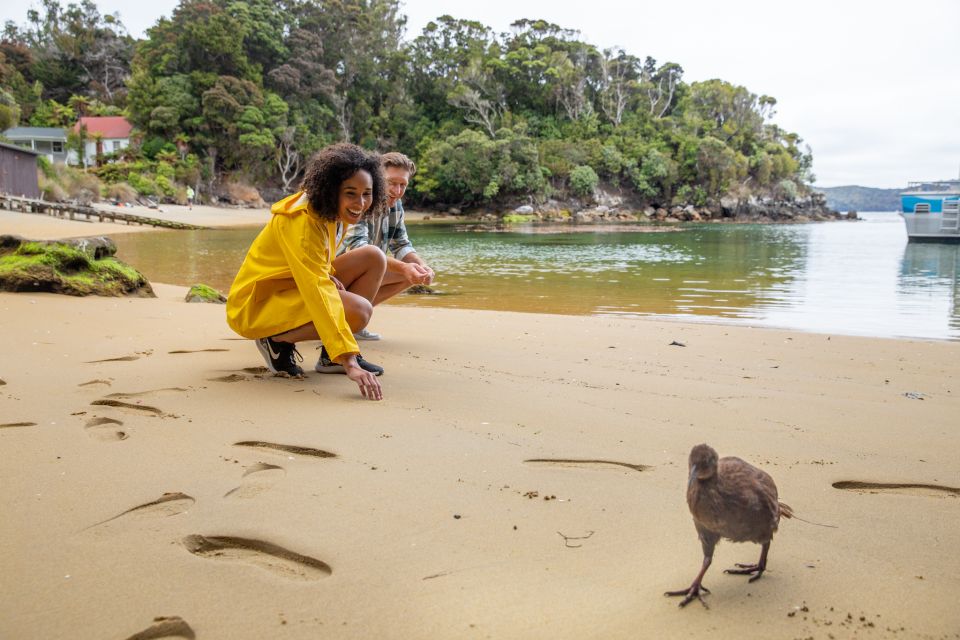 Stewart Island: Ulva Island Guided Wilderness Walk & Cruise