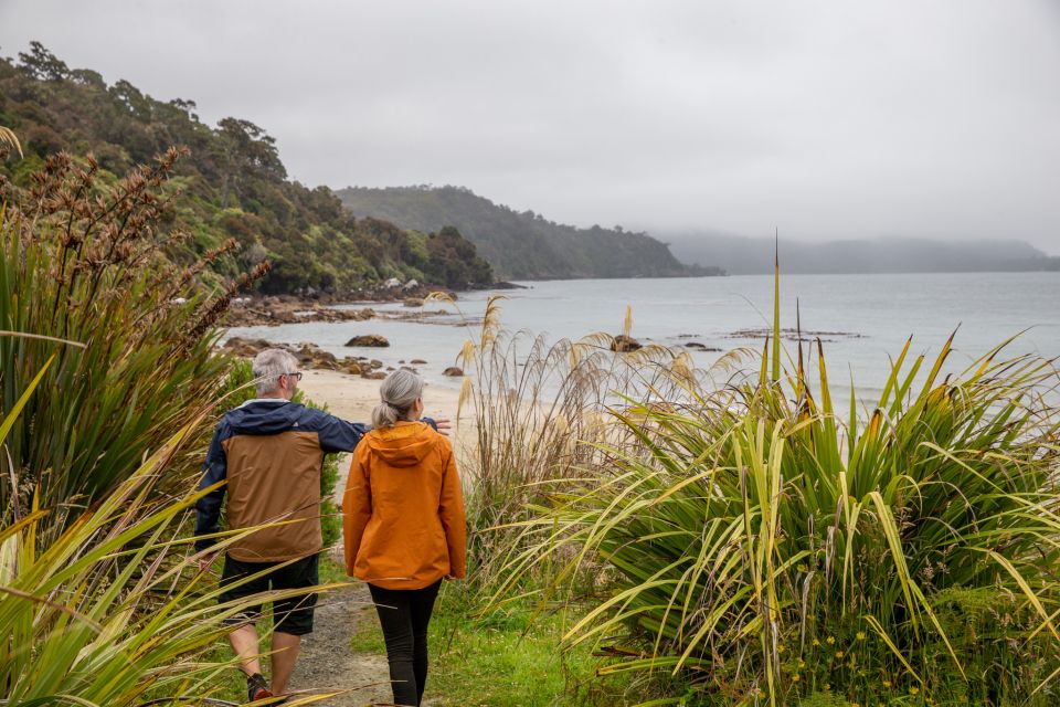 Stewart Island: Village and Bays Tour