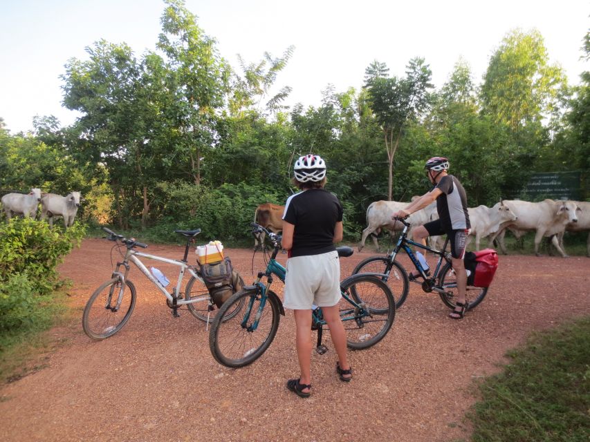 Sukhothai: Historical Park & Countryside Cycling Tour