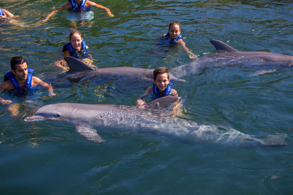 Swim With Dolphins Ride – Riviera Maya