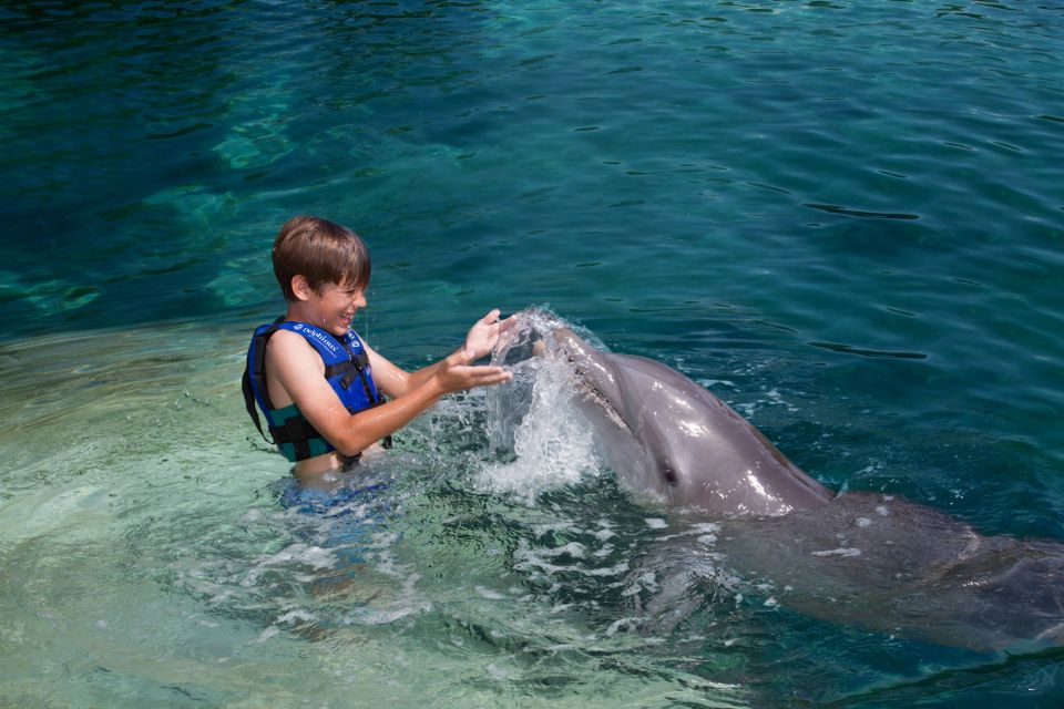 Swim With Dolphins Splash – Puerto Morelos