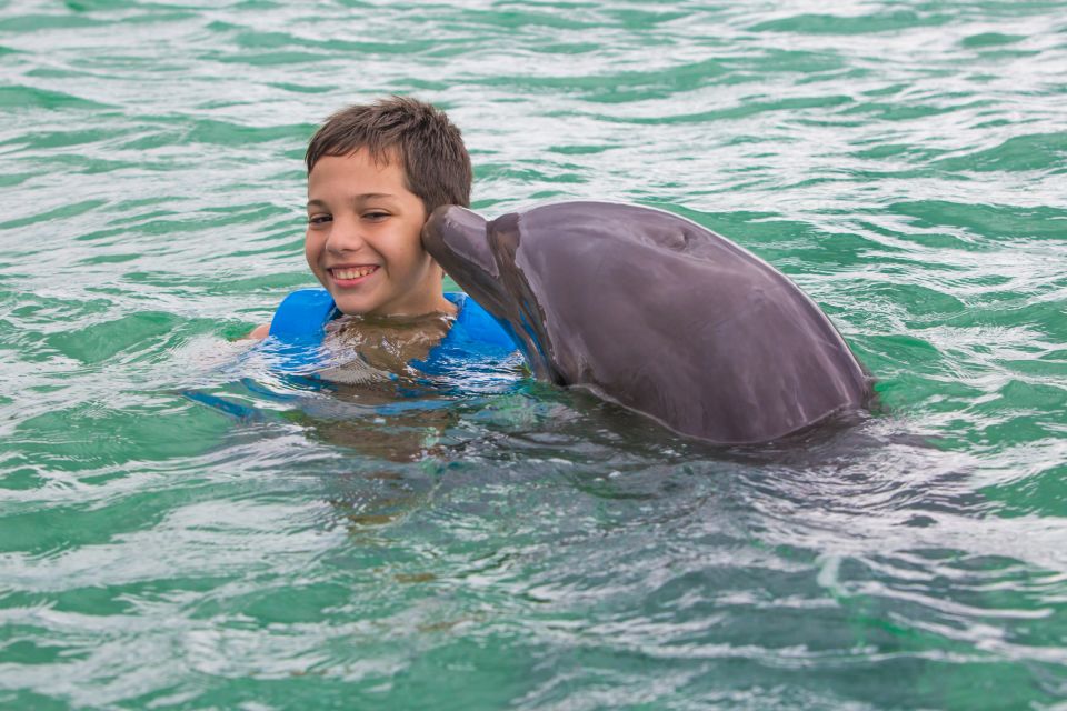 Swim With Dolphins – Supreme – Puerto Morelos