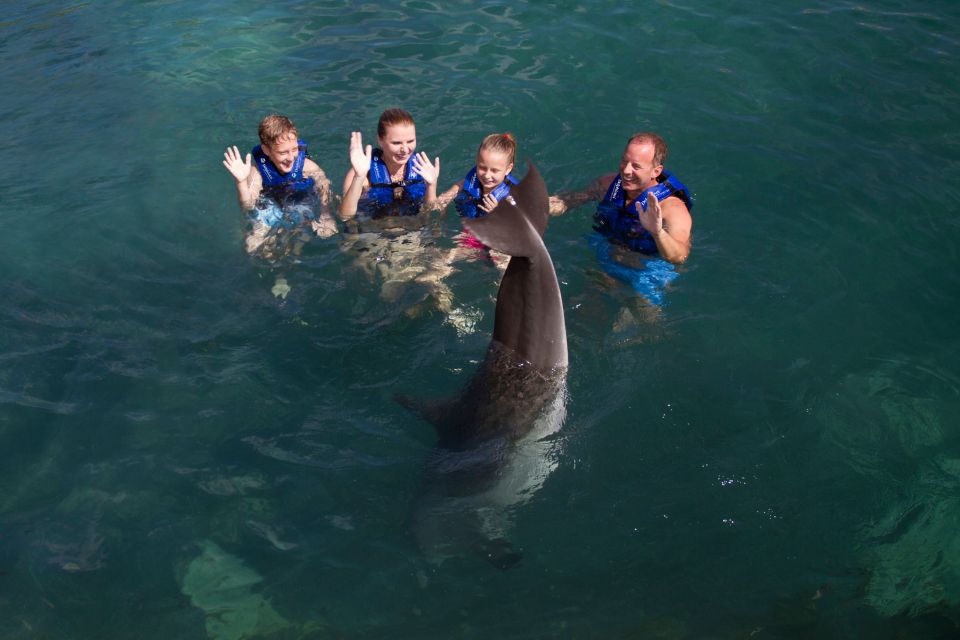 Swim With Dolphins Supreme – Riviera Maya