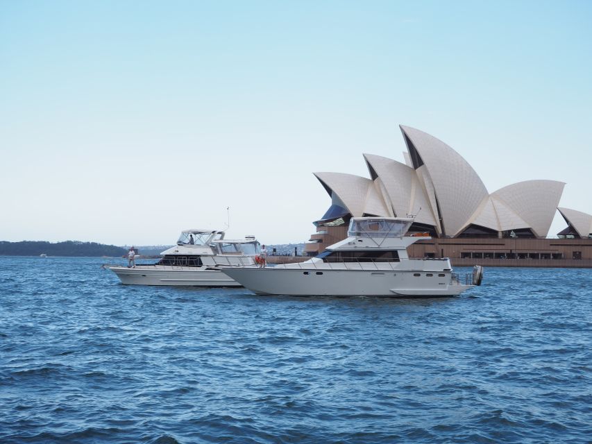 Sydney Harbour: 2-Hour Morning Yacht Cruise With Morning Tea - Experience Highlights