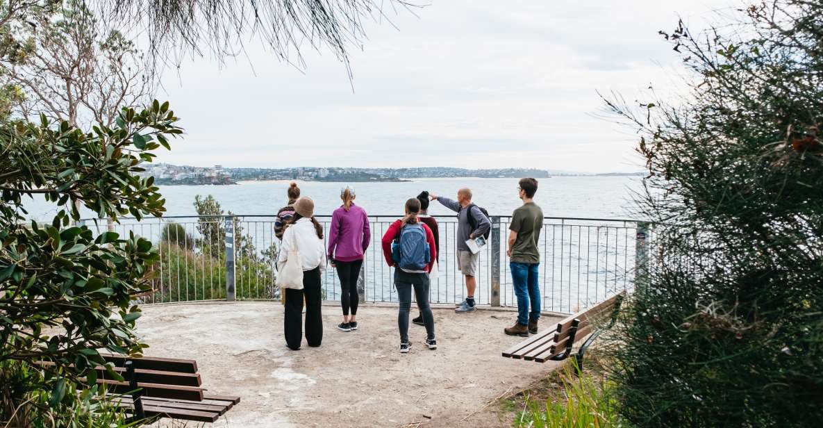 Sydney: Manly and Shelly Beach Snorkeling Tour