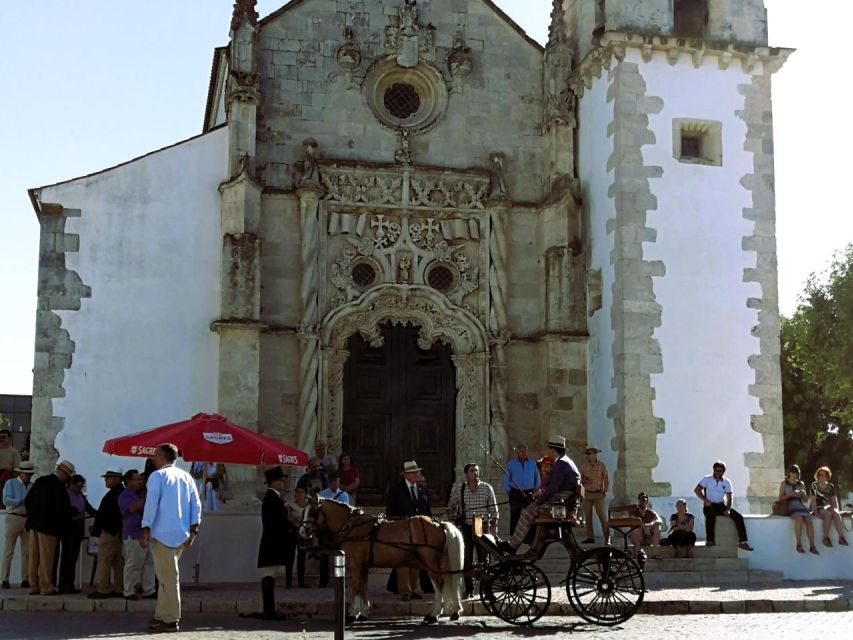 Tagus River & Ancient Production: Olive Oil, Wine and Horses