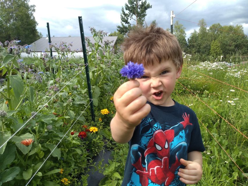 Talkeetna: A Walk in the Woods…with Reindeer!