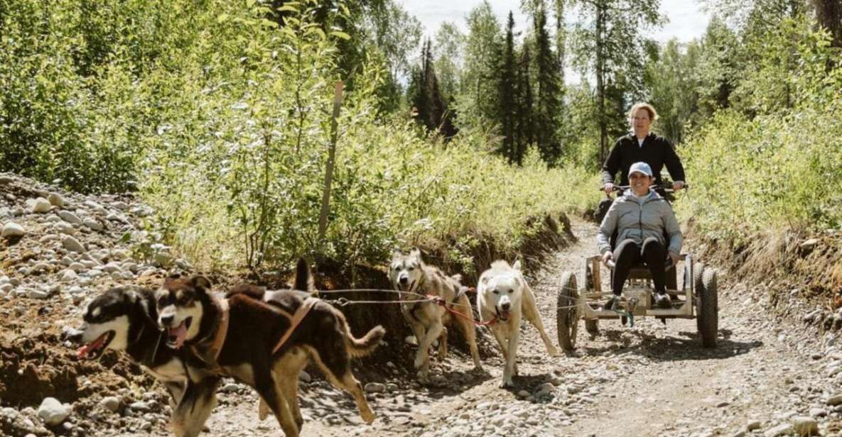 Talkeetna: Mushing Experience With Iditarod Champion Dogs - Experience Overview