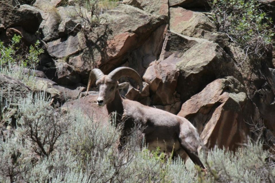 Taos/Santa Fe: Rio Grande Half-Day Float Trip