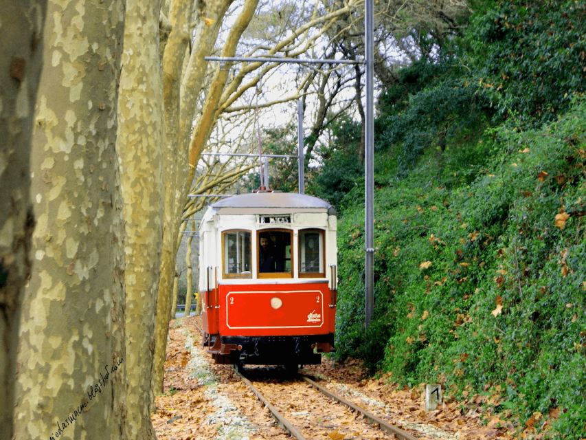 Taste of Sintra’s Wonders Wine&Tapas Private Tour