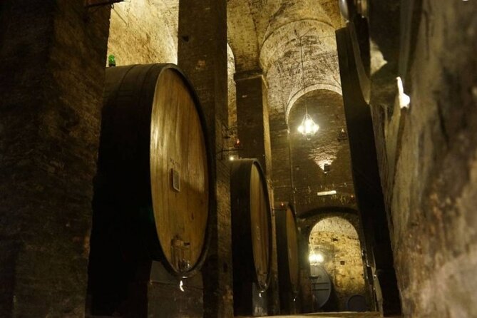 Tasting Tour in One of The Most Beautiful Cellars in the World - Overview of the Experience