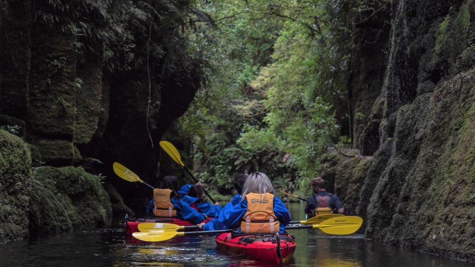 Tauranga: Daytime Scenic Lake McLaren Kayak Tour