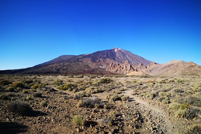 Teide National Park for Smaller Groups - 500-Year-Old Lava Flow