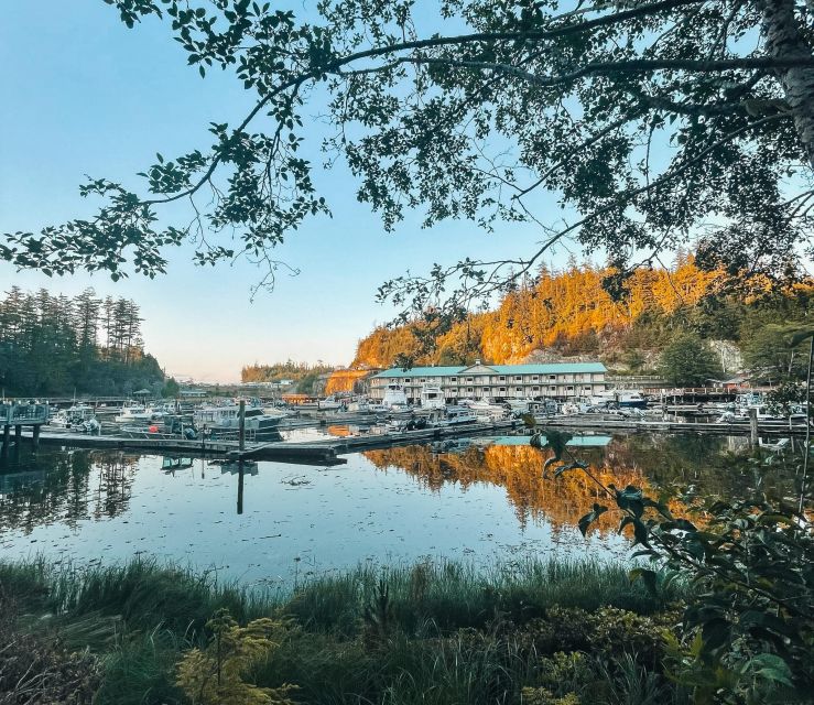 Telegraph Cove: 2 Hour Evening Kayak Tour
