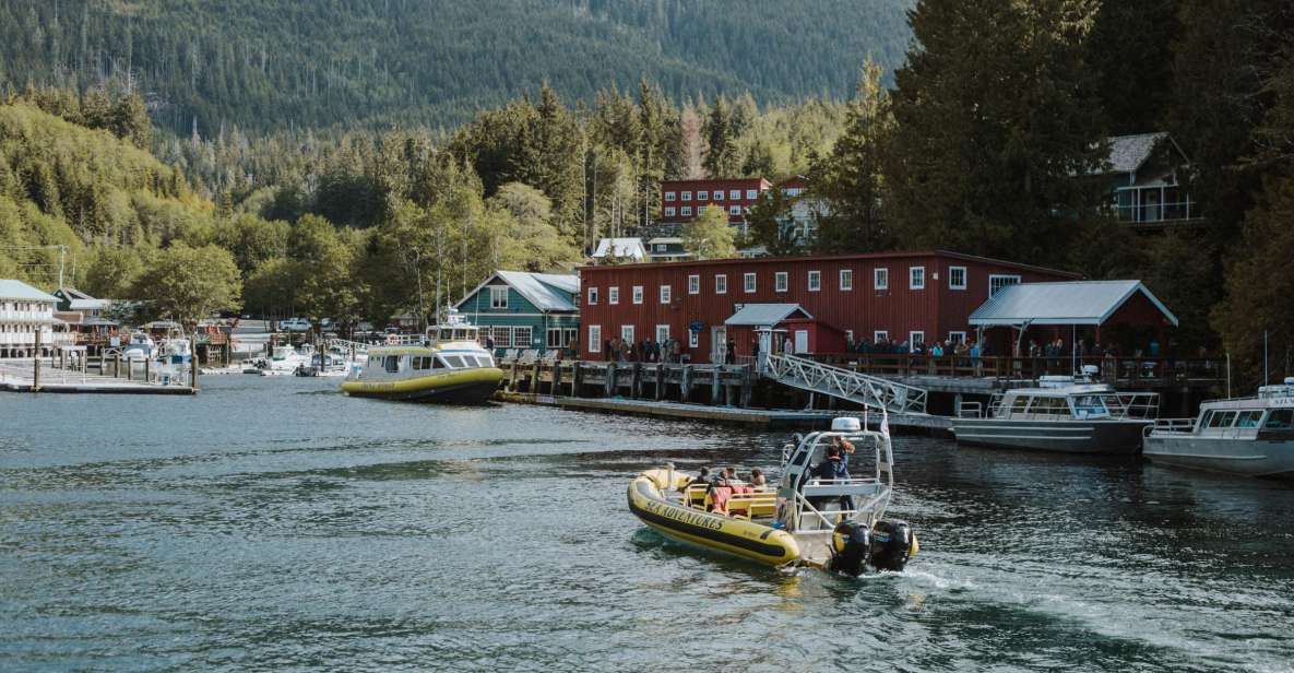 Telegraph Cove: 3-Hour Whale Watching Tour in a Zodiac Boat