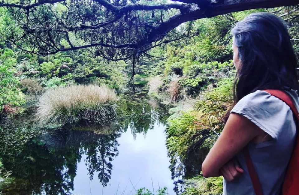 Terceira Island: Hiking Trail Mistérios Negros