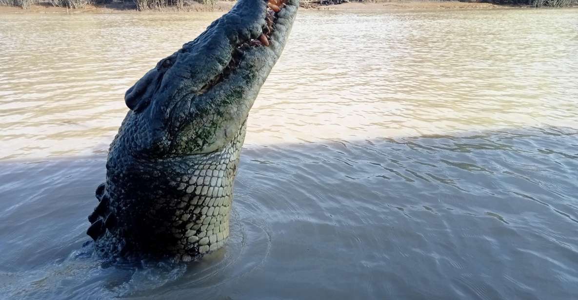 The Best Tour of Litchfield and Crocodiles on the River | Travel Buddies