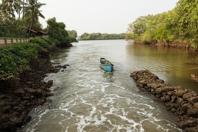 The Divar Island Exploration