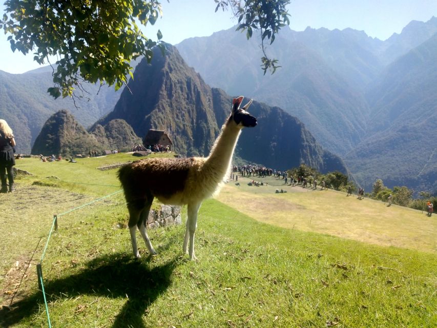 The Mysteries of Cusco and Machu Picchu Huchuy Qosqo