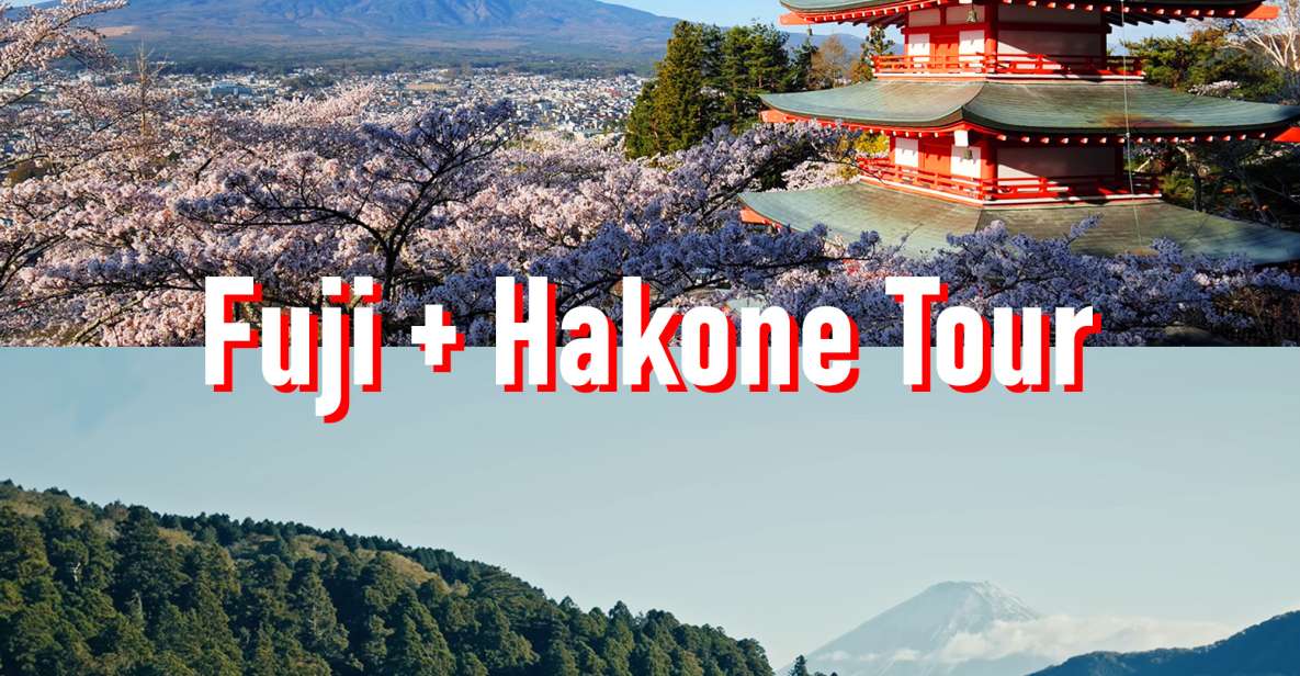 Tokyo to Mount Fuji and Hakone: Private Full-Day Tour - Tour Details