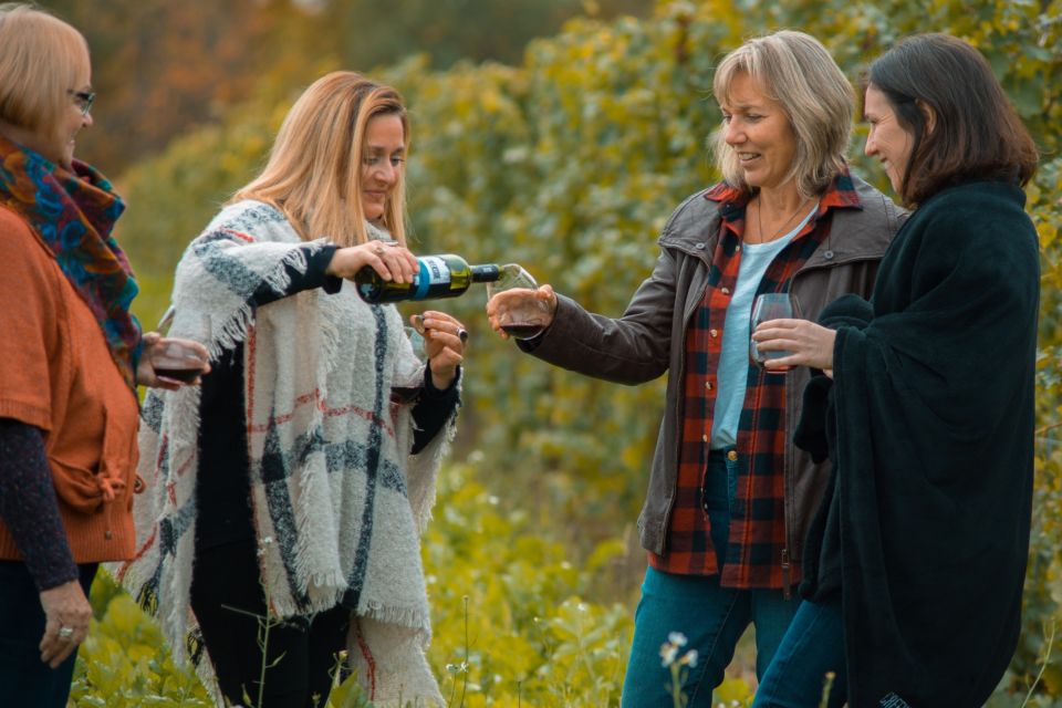 Toronto: Niagara Wineries Tasting Tour & Optional Lunch