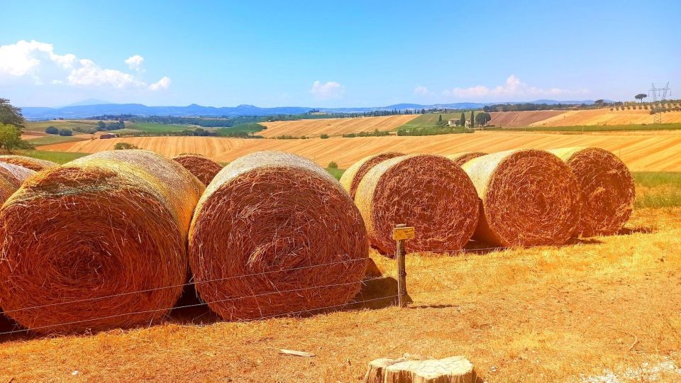 Transfer From Siena to Florence With Stop in San Gimignano