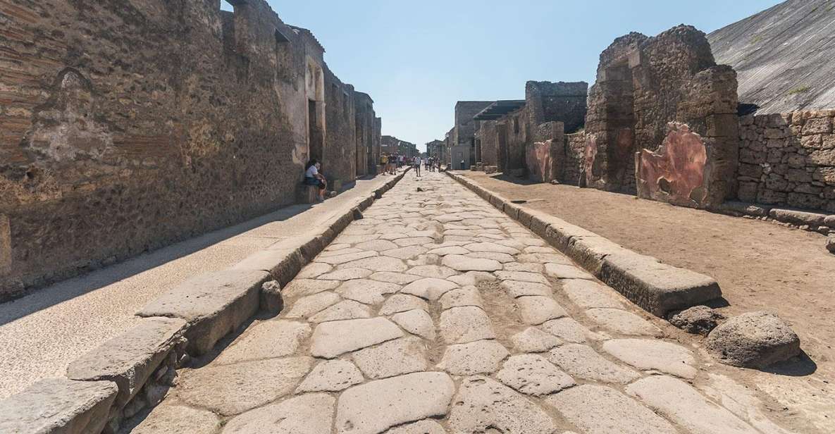 Transfer From Sorrento to Naples & Guided Herculaneum Tour