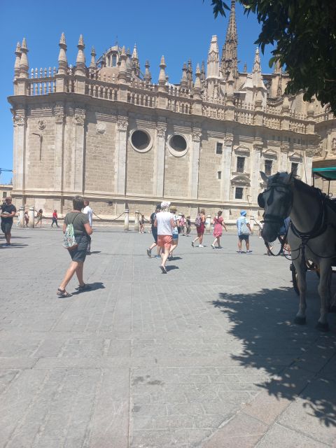 Transfer Lisbon / Seville