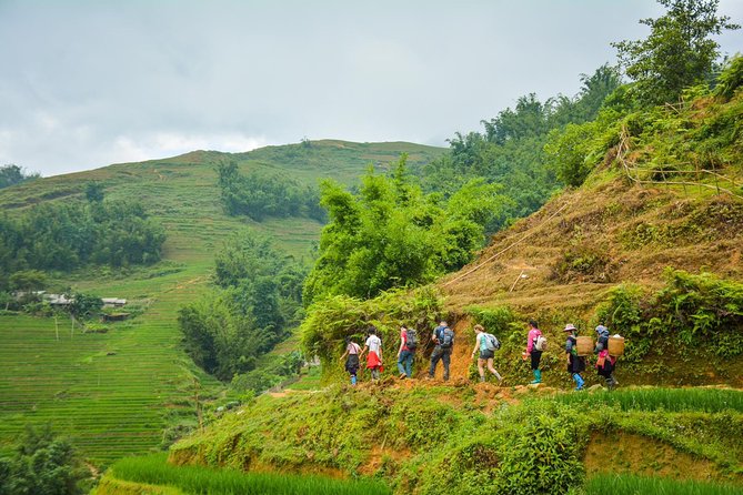 Trekking Through Rice Terraced Fields – 1Day​