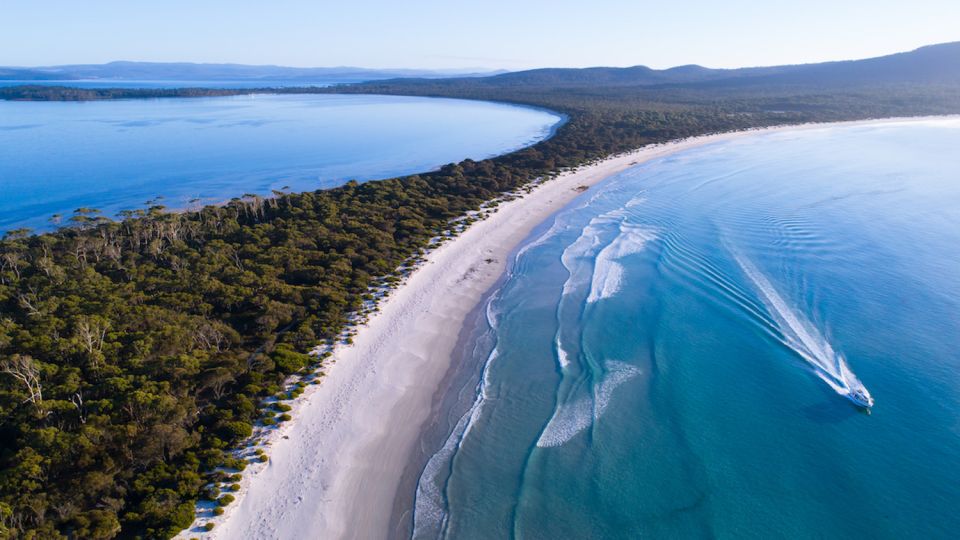 Triabunna: Maria Island and Ile Des Phoques Day Trip by Boat - Trip Details