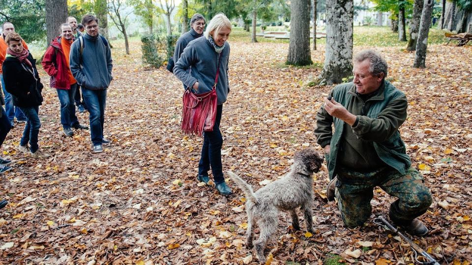 Truffle Hunting In The Hills Of Tuscany