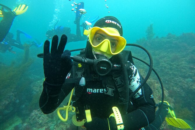 Try Scuba Diving in Arrabida Natural Park (Near Lisbon) With Pictures