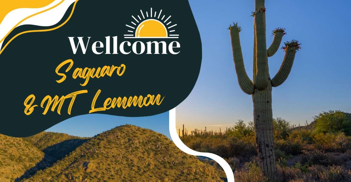 Tucson: Mt Lemmon & Saguaro NP Self-Guided Bundle Tour