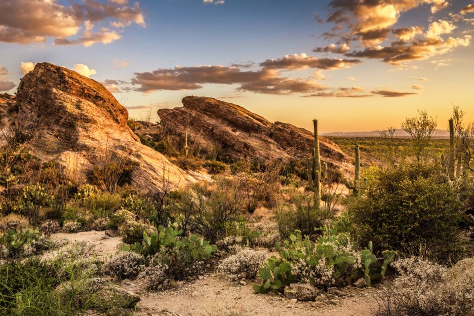 Tucson: Mt Lemmon & Saguaro NP Self-Guided Bundle Tour