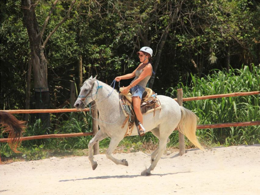 Tulum: Horseback Riding in the Jungle W/ Transfers and Lunch