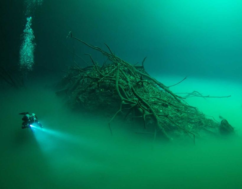 Tulum: Scuba Dive in 2 Cenotes, Including a Deep One Called Pit Dos Ojos