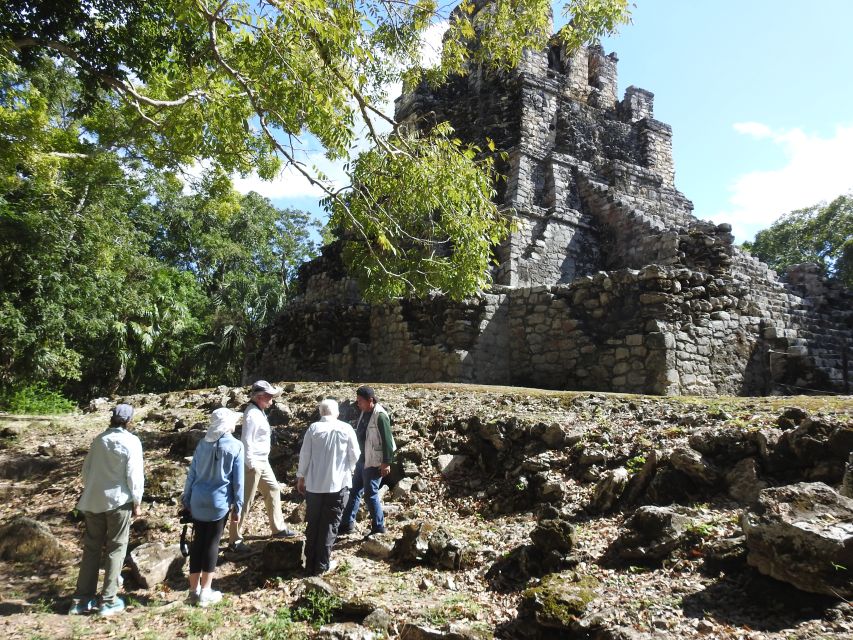 Tulum: Sian Kaan Biosphere Reserve Guided Birdwatching Hike