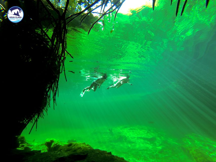 Tulum: Snorkeling Adventure in Cenote and Reef