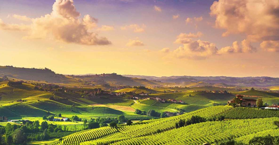 Turin: Langhe Wine Tour With Private Transfers and Lunch