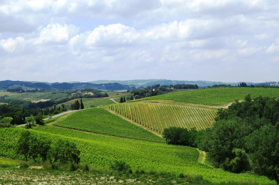 Tuscany: Full-Day Luxury Minivan Tour With Siena and Pisa