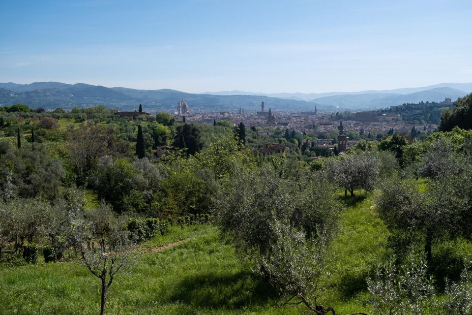 Tuscany Hills Bike Tour With Lunch at Farm and Wine Tasting