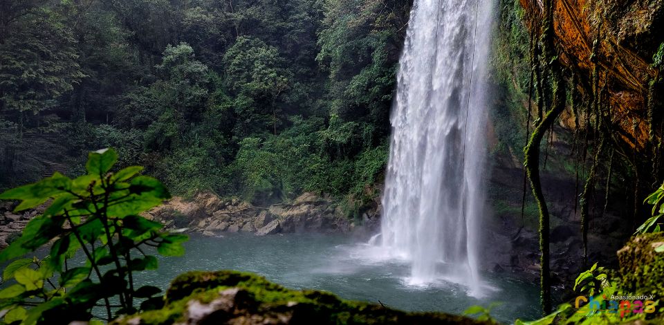 Tuxtla Gutierrez: Agua Azul, Misol Ha & Palenque Experience