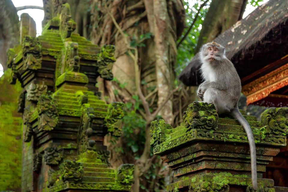 Ubud Full Day Tour