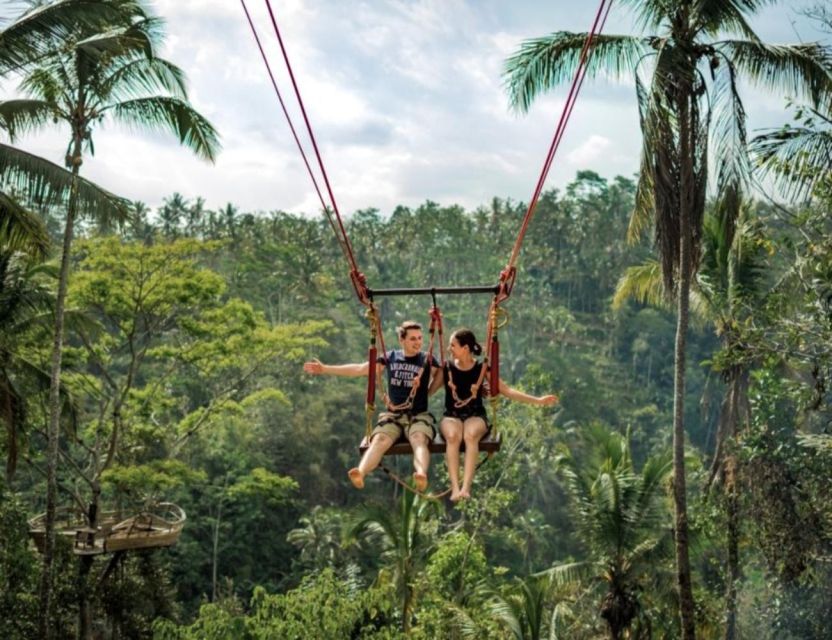 Ubud: Private Exotic Waterfalls, Rice Terraces, Temple & Swing