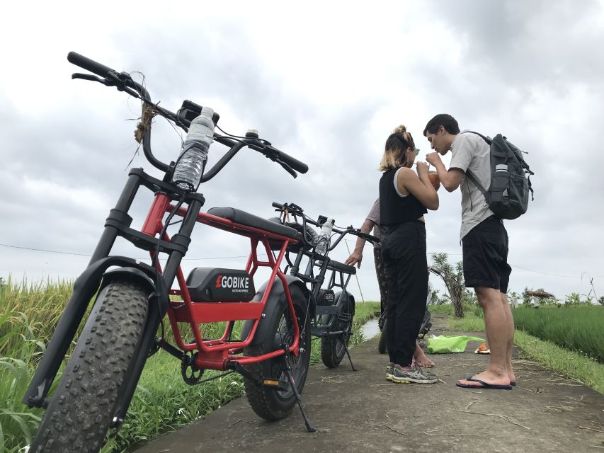 Ubud: Rice Terraces & Villages Half-Day Fat Tire E-Bike Tour