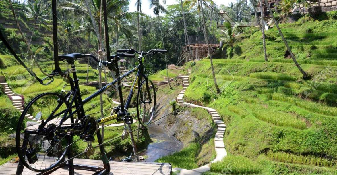 Ubud: Sky Bike Adventure, Swing & Rice Terrace With Transfer - Activity Overview