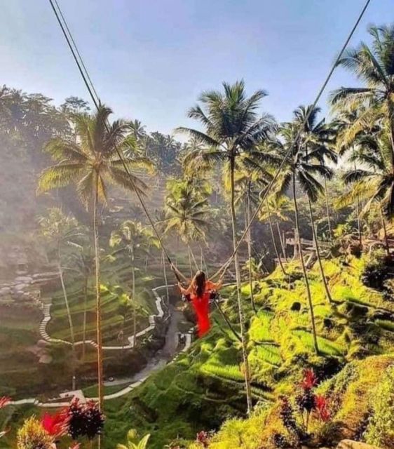 Ubud Tegallalang Rice Terrace Tour