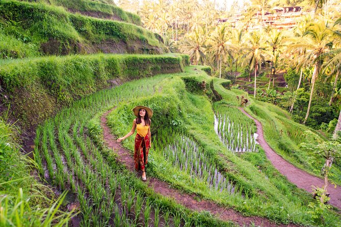 Ubud Tour With Swing, Temple, Monkey Forest, and Waterfall - Transportation and Driver/Guide