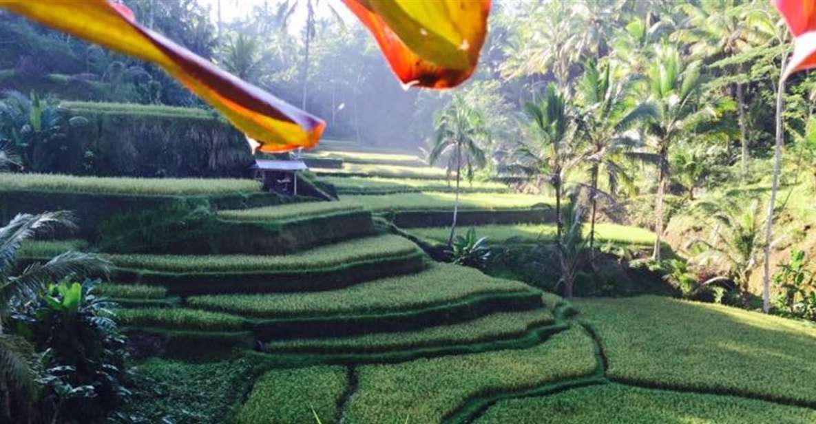 Ubud & Volcano Hot Springs Tours