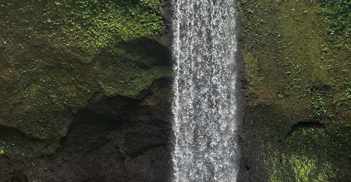 Ubud Waterfall, Coffee Plantation, and ATV Quad Bike